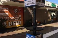 Altea Guadalajara